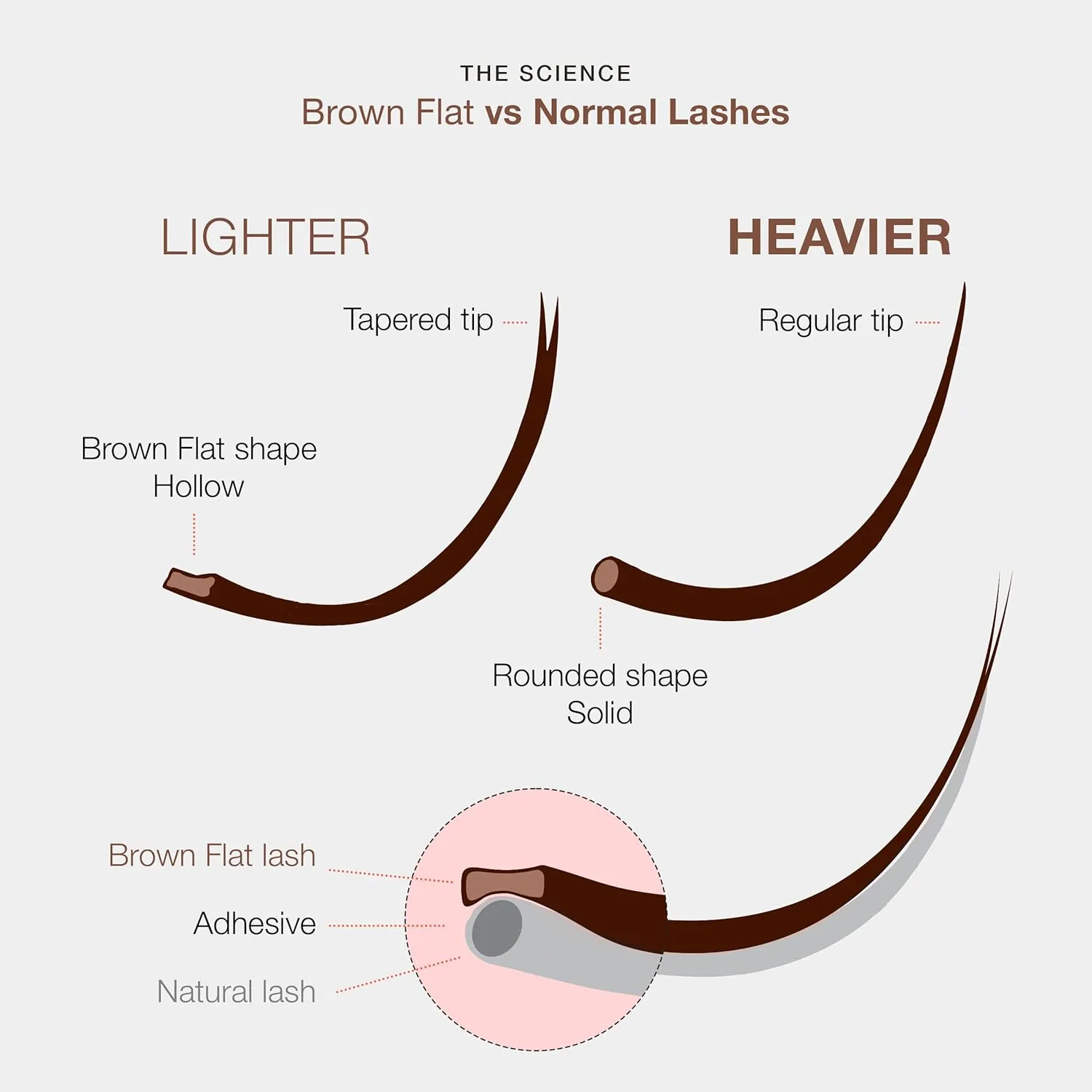 Curacoro Brown Eclipse Flat Lash Extensions - Mixed Length 8-15mm, Thickness 0.15mm, C CC D Curl, Brown Mink False Lashes, Matte Finish, Individual Eyelashes for Salon Use, Lightweight and Fluffy