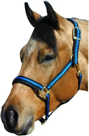 Intrepid International Padded No Rub Striped Horse Halter