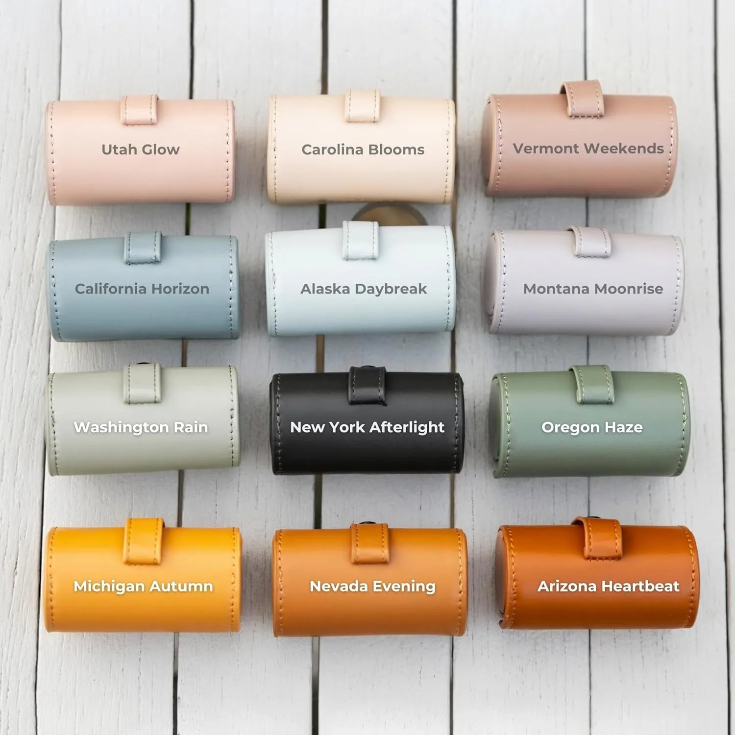 MADE TO ROAM On Dooty Pack - Premium Dog Poop Bag Holder for Leash, Vegan Leather Waste Bag Dispenser for Poop Bag Rolls - Alaska Daybreak