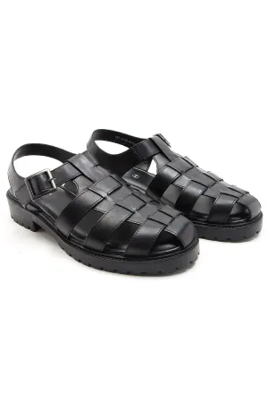 Schmitt-Black