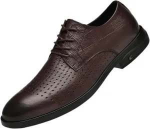 YZABEL Men's Classic Pointed Toe Lace Up Oxford Shoes, Summer Breathable Stylish Casual Shoes, Rubber Non-Slip for Daily Commuting Activity